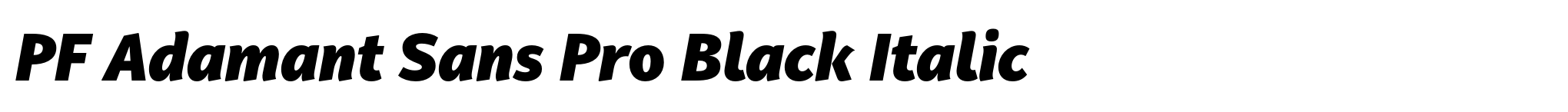 PF Adamant Sans Pro Black Italic image